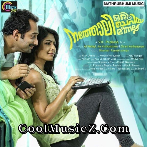 Natholi Oru Cheriya Meenalla (Original Motion Picture Soundtrack) Album Art Natholi Oru Cheriya Meenalla Cover Image Poster